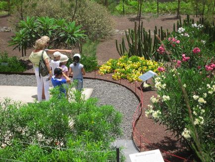 Parcul etnografic al piramidei guimar (piramides de guimar)