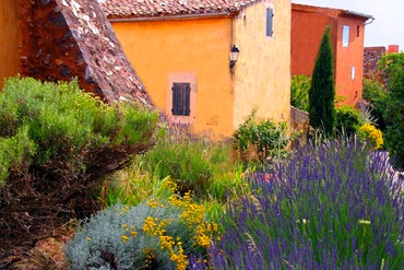 Grădină franceză - plan de grădină de flori