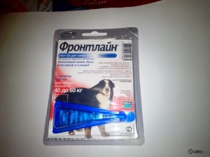 Фронтлайн спот він (краплі) для кішок і собак, відгуки про застосування препаратів для тварин від