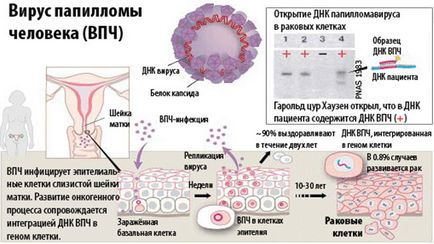 Gardasil instrucțiuni de utilizare, prețuri, recenzii și analogi