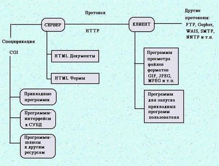 Hypertext www technológia, url, html - számítástechnika, programozás