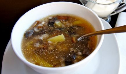 Грибний суп з сушених опеньків фото, відео-рецепти, як зварити перші страви з грибів