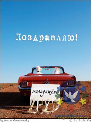 Гуляєва роману і Наталю, з днем ​​весілля!