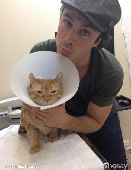 Ian Somerhalder și Nina Goodbye au salvat pisoiul de la moarte