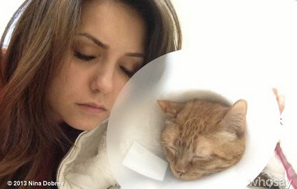 Ian Somerhalder és Nina Dobrev mentett cicát a haláltól