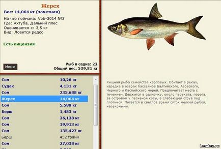 Як і на що ловити на Ахтубе кілька порад з ловлі сазана на Ахтубе