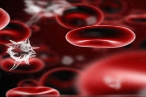 Cum să evitați contaminarea sângelui, tot ceea ce excită omul modern