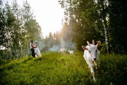 Як змінилася весільна фотографія за останні роки фотограф вадим Благовіщенський, фотомистецтво