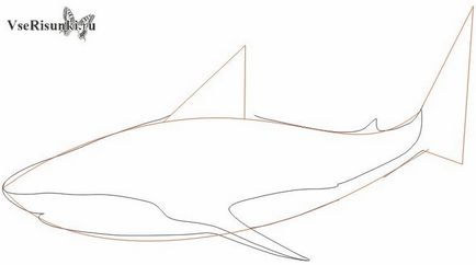 Як намалювати акулу олівцем поетапно