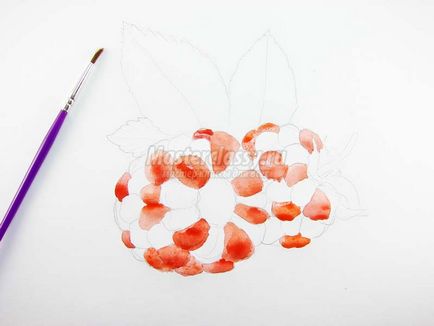 Як намалювати малину аквареллю