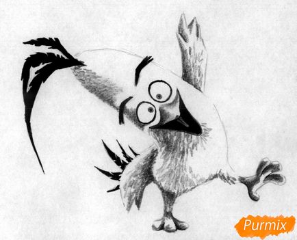 Cum de a desena un chaka de la păsări furioase într-un film în etape