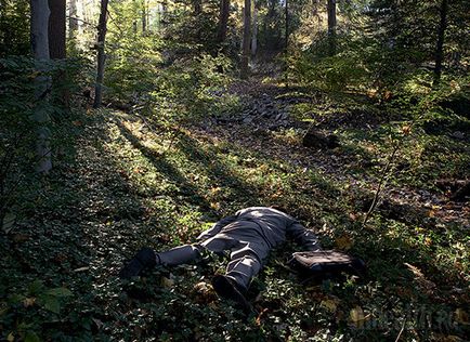 Cum să găsești un om pierdut în pădure