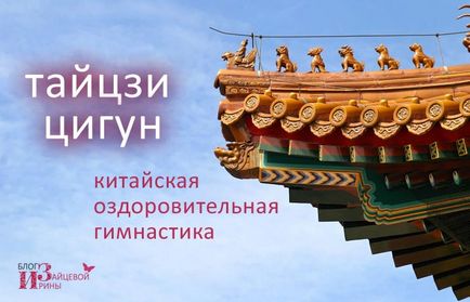 Як правильно вибрати масажну накидку на сидіння в автомобілі, блог Ірини Зайцевої