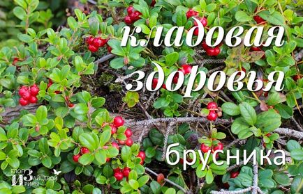 Як правильно вибрати масажну накидку на сидіння в автомобілі, блог Ірини Зайцевої