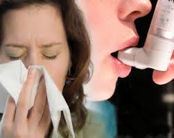 Як розрізнити астму та алергію, алергія