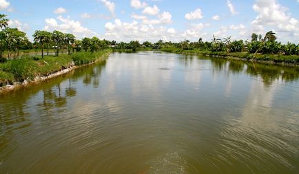 Як розводять рибу у В'єтнамі, як це зроблено