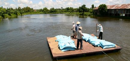 Як розводять рибу у В'єтнамі, як це зроблено