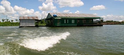 Як розводять рибу у В'єтнамі, як це зроблено