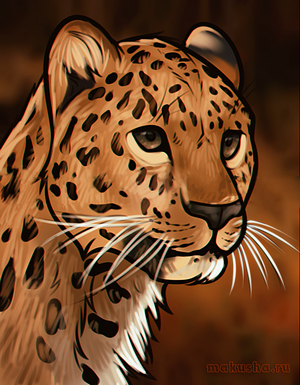 Cum de a desena un cap de leopard, cât de ușor și simplu de a trage cu un stilou, stilou sau stilouri stilouri