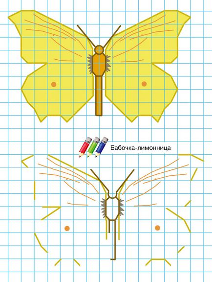 Як малювати по клітинках метелика