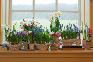 Cum de a crea o stare de spirit de primăvară în casă, da mari