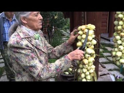 Як заплести цибулю в косу для зберігання на зиму схема в'язання