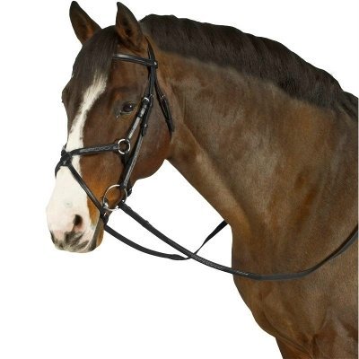 Капсуль для коня - сайт про коней