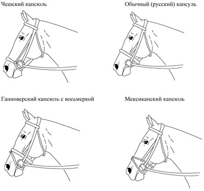 Капсуль для коня види, мексиканський, чеська, англійська і класичний