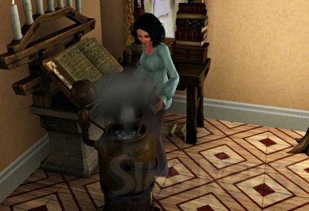 Carieră alchimist (întreprindere privată) în sims 3 supranatural