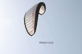 Kites pansh - zmee de iarnă pentru snowkiting, vânzarea de zmee, ucraina