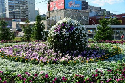 Plăcile de flori pentru milioane de oameni aleg cele mai frumoase și mai scumpe paturi de flori din Ekaterinburg