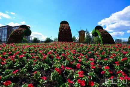 Клумби за мільйони вибираємо найкрасивіші і дорогі квітники Запорожьеа