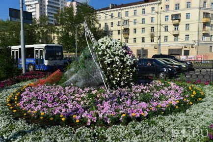 Plăcile de flori pentru milioane de oameni aleg cele mai frumoase și mai scumpe paturi de flori din Ekaterinburg