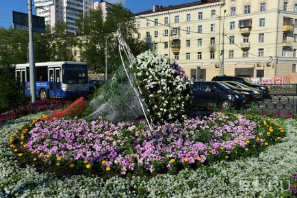 Клумби за мільйони вибираємо найкрасивіші і дорогі квітники Запорожьеа