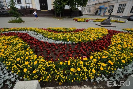 Клумби за мільйони вибираємо найкрасивіші і дорогі квітники Запорожьеа