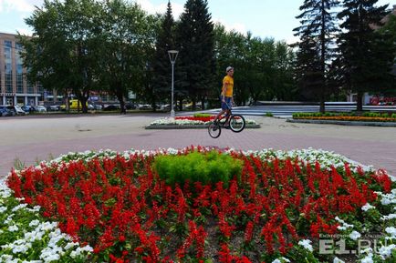 Клумби за мільйони вибираємо найкрасивіші і дорогі квітники Запорожьеа