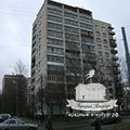 Косметичний ремонт парадних та під'їздів, парадний Харків