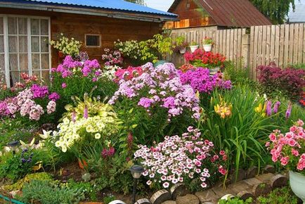 Frumos grădină frontală în fața unei decorațiuni private de locuințe, fotografie și design