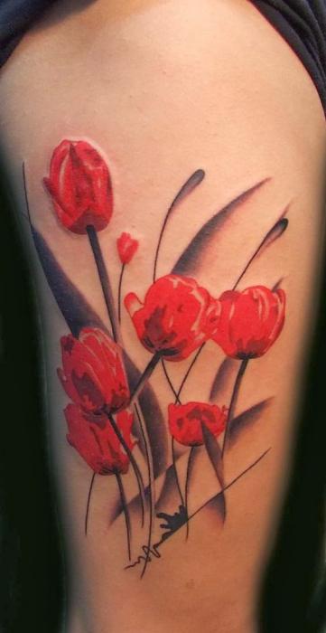 Червоний тюльпан все про символ і його значеннях