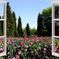 Kertészet terv kilátás az ablakból
