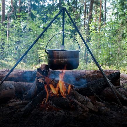 Lasagna brokkoli, karfiol, gomba és a darált húst - gyermek receptek képekkel