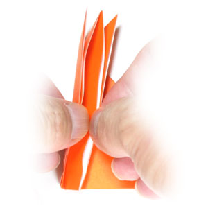 Fox origami în turn-based foto și video master-class