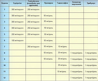 Кращі курси прийому стероїдів