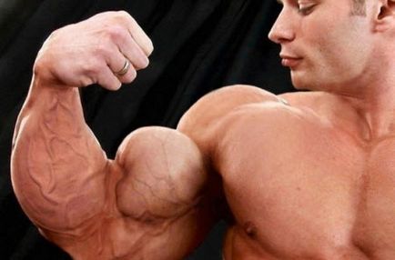 A legjobb gyakorlatok bicepsz intézkedik lengéscsillapítás