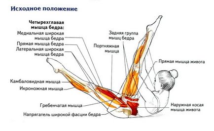 Кращі вправи на розтяжку м'язів