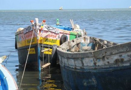 Цікаве про професії водолаза за перлами