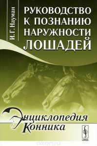 Марали загальні відомості