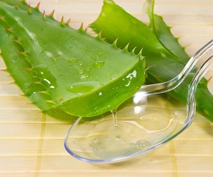 Hair Mask Aloe Vera otthon, és egyéb felhasználási receptek