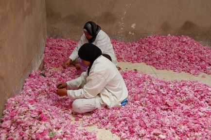 Ulei de trandafir pentru folosirea cosmetică a extractului eteric de piatră damașcă, recenzii