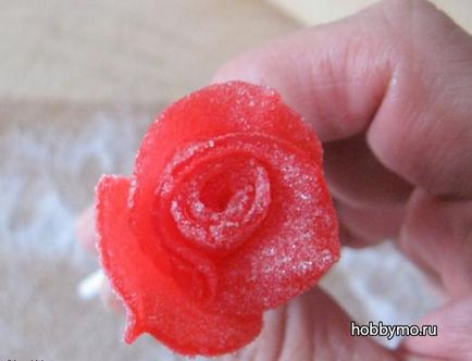 Trandafiri de clasă principală din marmeladă cu mâinile lor - o mare de hobby-uri
